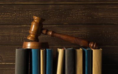 Art. 16 – Egalitatea în drepturi