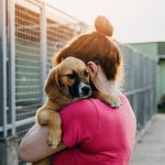 Cumpără și ajută un animăluț – idei de cadouri care susțin adăposturile