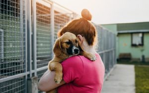 Cumpără și ajută un animăluț – idei de cadouri care susțin adăposturile
